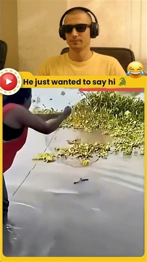This is what happens when you say hi to a crocodile 😂 #shorts #funny
