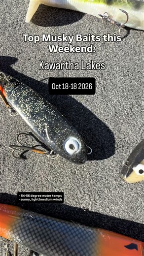 Top Musky Baits That Produced This Weekend
