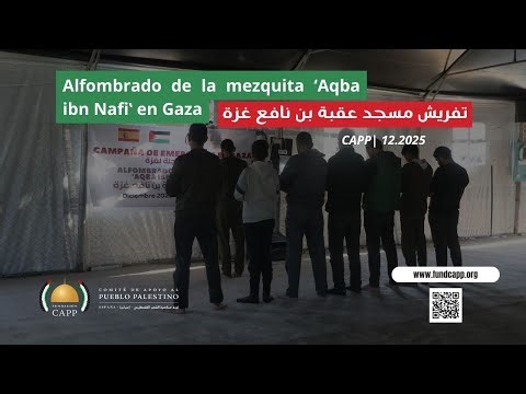 Alfombrado de la mezquita ‘Aqba ibn Nafiʽ en Gaza| تفريش مسجد عقبة بن نافع غزة