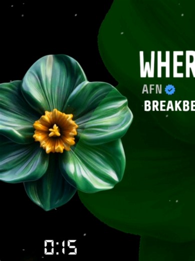 Where Do You Begin - Breakbeat SoundCloud : AFN @AFN #breakbeat #wheredowebegin #breakbeatmusic #soundcloud #fyp