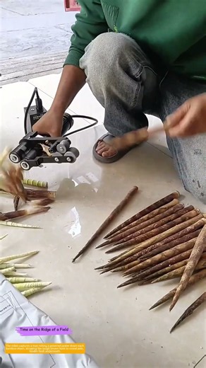 How a Spinning Wheel Frees 15 Cents of Bamboo Shoot