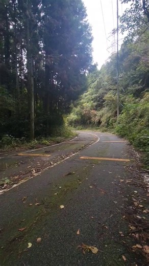 昔の千葉国際ってこんな広く見えるんだこの前行ったけど誰もいないし廃墟化してたよ