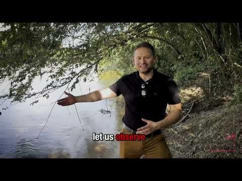 PRODUCTIVE HACIENDA (7 Hectares / ~17 Acres) Flandes, Tolima