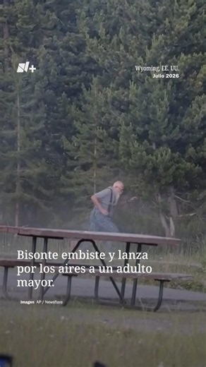Momento en que un bisonte embiste y lanza por los aires a un hombre de 65 años