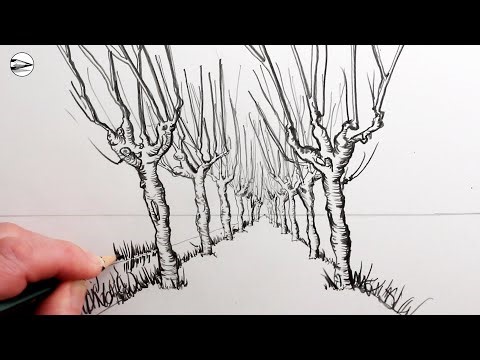 How to Draw Tree Avenue Van Gogh Narrated Drawing Tutorial for Beginners