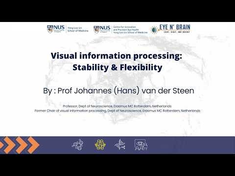 Visual information processing: stability and flexibility - Prof Johannes (Hans) van der Steen