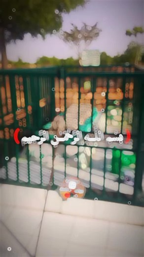 Exploring Hausa Culture Through Fadar Bege