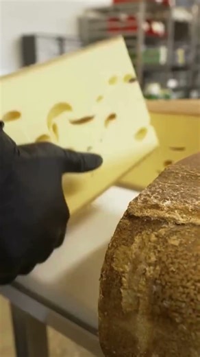 What is today?: Swiss Cheese Day - January 2nd