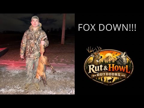 It Happened In Seconds | Fox Hunt