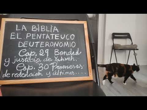 La Biblia, El Pentateuco, Deuteronomio capítulos 29 y 30 (22-04-2026)