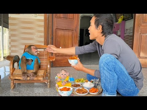 Heartwarming Moment! Dad & Buem Give Special Care to CUTIS ❤️🐵