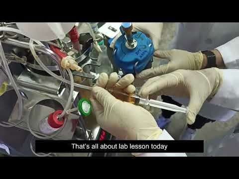 Fed Batch Fermentation of Saccharomyces cerevisiae Based on An Oxygen Spike Lab Scale 2L Bioreactor