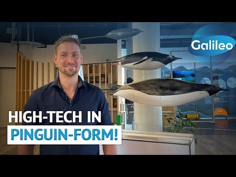 Der Pinguinroboter im Kampf gegen Geisternetze! Hightech unter Wasser | Galileo