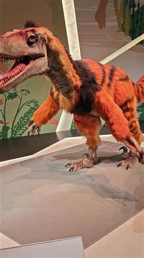 Dinosaur Exhibit Hong Kong Science Museum