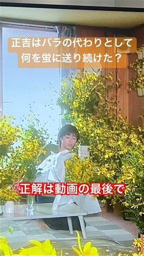 【北の国からクイズ274】ドラマスペシャル『’98時代（前編）』より
