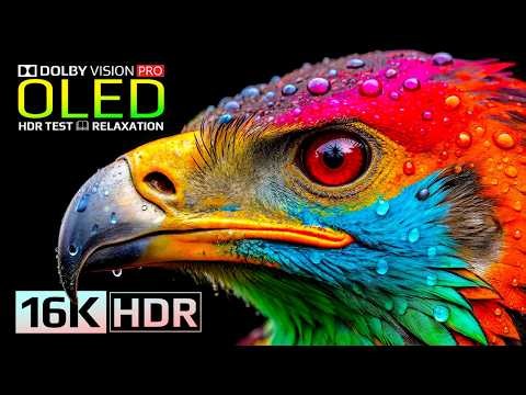 Impossible Clarity HDR Colors Test | 16K Dolby Vision Nature Video (8K/4K Video TV)
