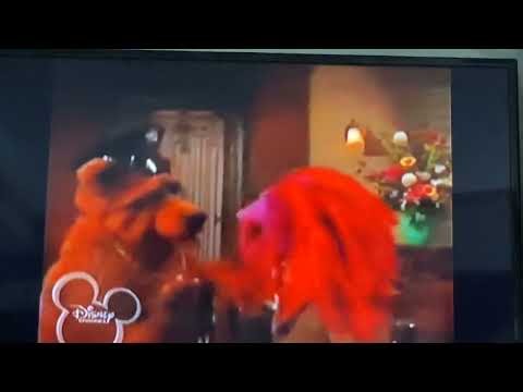 Oh, Bobo! 😆😅 || #muppetstonight
