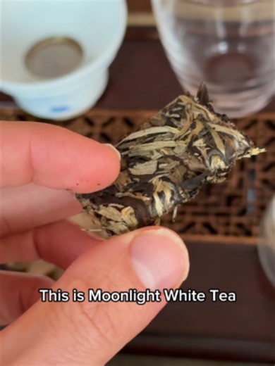 Why Not to Eat the Chocolate Bar During White Tea Tasting