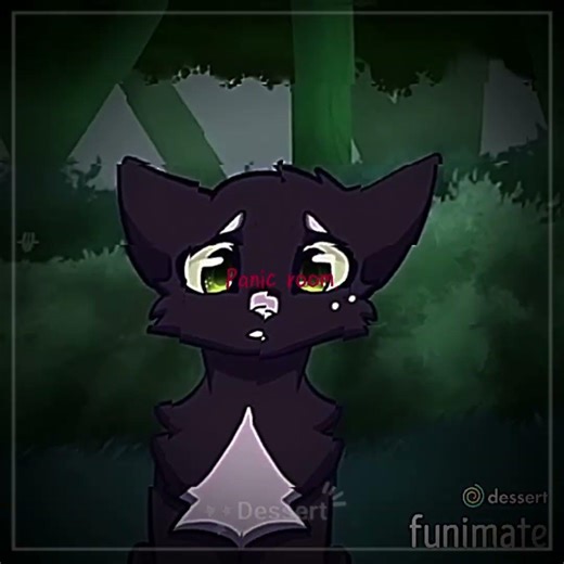 My entry for the tournament!|PROBABLY NOT OG!|🏷:@Solarwing_Wc| #waca #warriorcats #edit