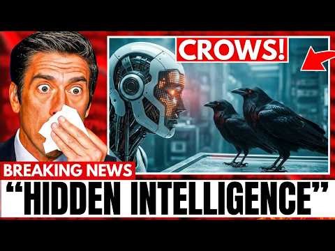 Scientists Used AI to Decode Crow Sounds — What They Found About Humans Is Terrifying