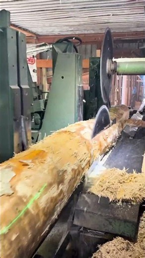Amazing Wood Processing Modern Mills & Skilled Hands
