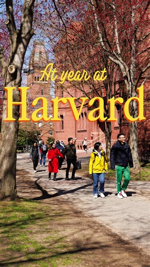 The four seasons of Harvard 🌱 🌺 🍁 ❄️ #Harvard2025 #EndOf2025 #2025 #Harvard #HarvardUniversity