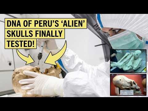 Scientists Just Tested DNA From Peru's 'Alien' Skulls — The Results Shocked Everyone