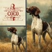 Vintage Hunting Dog Print, Pointer in Golden Grass, Rustic Farmhouse Wall Art (Digital Download) 940