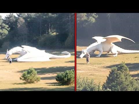 Massive Creatures Caught On Camera That Shouldn’t Exist