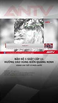 Typhoon No. 1 with Gusts up to Level 11 Heads Toward Quang Ninh Sea #antv #shorts #typhoonno1