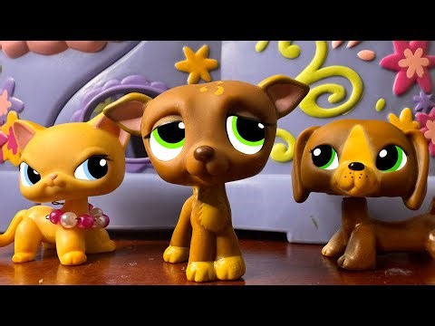 LPS: the breezy high-school 🍃{ episode 11: It All Comes Crashing Down To Rock Bottom }