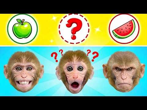 Monkey Bon Bon Eats Watermelon and Grapes with Duckling in the Water Park | Monkey Shorts