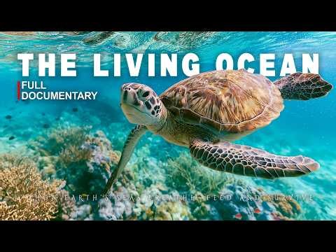 THE LIVING OCEAN | How Earth’s Seas Breathe, Feed and Survive