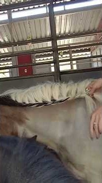 Braiding my childhood pony🐴✨