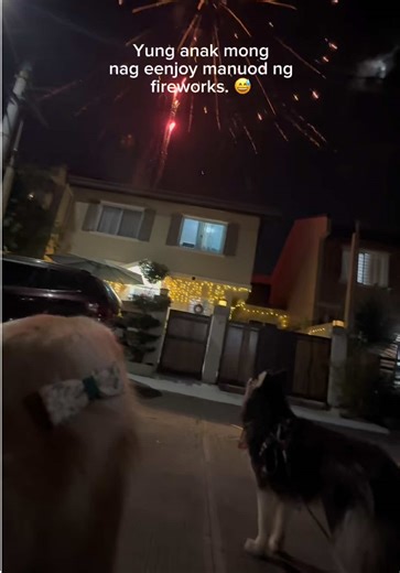 Celebrating New Year with Shiloh and Liora's Biggest Firework