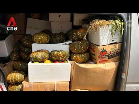 Food support providers cite storage space, transportation and funding as top operational challenges