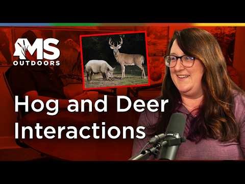 Hogs & Deer Interactions: What New MSU Research Reveals | MS Outdoors Podcast