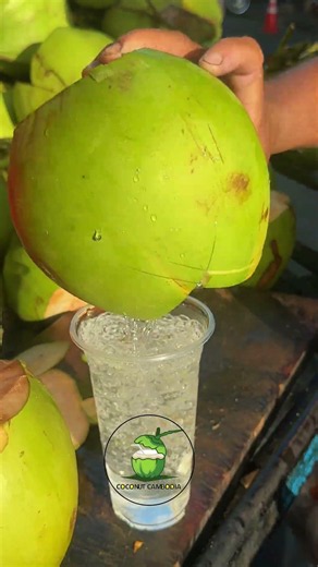 Coconuts The Most Satisfying Fruit