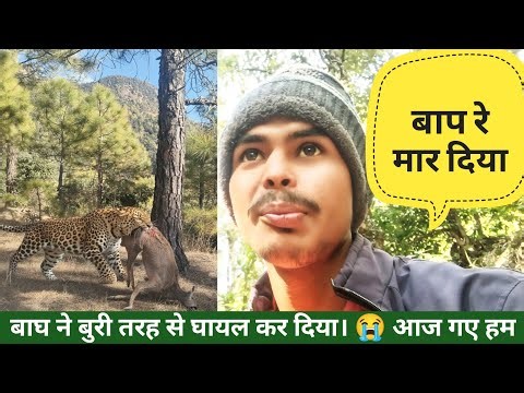 Hunting a wild animal in front of our eyes! 🐅😭 First Long Trip To Nepal ।। Vipin Gusain Vlogs