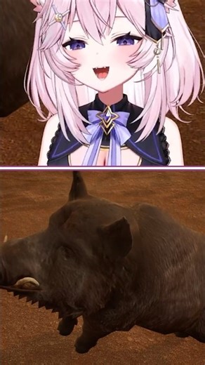 Pig Sounds Are Nyan's Weakness 🐷