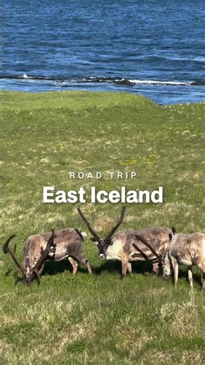 East Iceland has entered the chat 🚙🏔️🇮🇸 #iceland