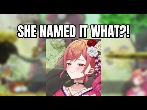 VTuber Names a Mysterious Creature "Watage Senpai" and It's Perfect | Ichijou Ririka