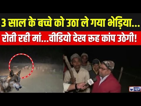 Bahraich Wolf Attack: दूध पी रहे बच्चे पर टूट पड़ा भेड़िया | UP News | Top News | India News