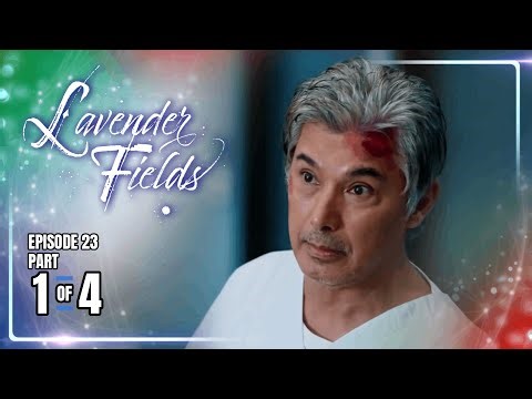 Lavender Fields | Episode 23 (1/4) | December 26, 2025
