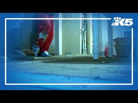 Pacific families face displacement after levee break in early December