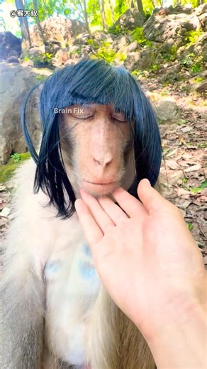 The real secret of the clever Monkey! 🐒🤝