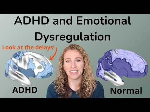 The Neuroscience of ADHD and Emotional Dysregulation