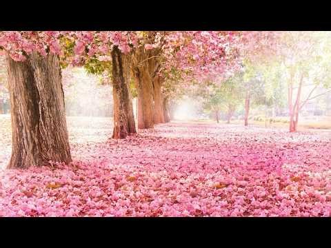 Peaceful, Relaxing, Soothing, Instrumental Music "Nature's Valentine" by Tim Janis