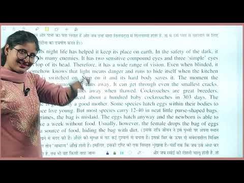 English Class 8 | Chapter 7 – Easy Explanation