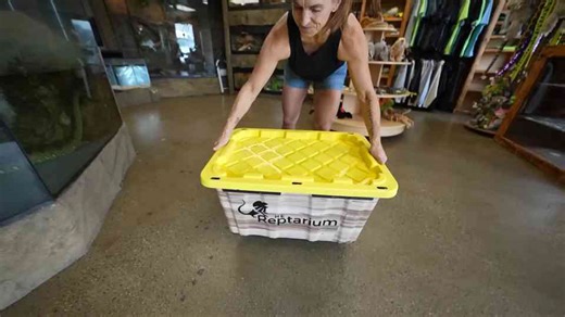 They were just added then the pond started to change